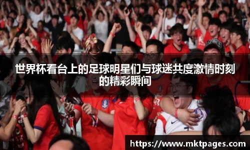 世界杯看台上的足球明星们与球迷共度激情时刻的精彩瞬间